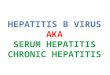 Hepatitis B/ Chronic Hepatitis/Serum Hepatitis