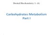Lec 6  level 3-de (carbohydrate metabolism i)