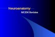 Neuroanatomy MCEM Revision Objectives Review the BASICS of 