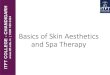 ITFT-  Basics  of  skin  Aesthetics  and  spa  Therapy