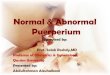 Puerperium normal & abnormal prof.salah roshdy