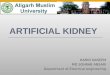 Artificial kidney