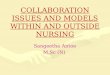Collaboration issues and models within and outside nursing
