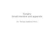 Surgery Small Intestine And Appendix  T G