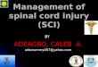 management of spinal cord injury