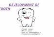 Development of tooth