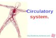 Cardiovascular system- Fernando / Nov 2009