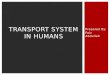 Transport system in humans