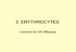 The erythrocyte lecture 2