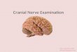 Cranial nerve examination