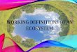 Working Definition of Ecology and Principles of Ecosystem