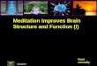 Meditation changes brain