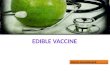 Edible vaccine