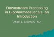 Downstream Processing in Biopharmaceuticals