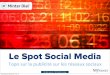 "Le Spot Social Media" : La publicité sur les medias sociaux 2013 (en français)