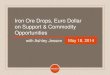 Iron Ore Drops, Euro Dollar on Support & Commodity Opportunities