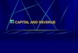 Capital and revenue by itm