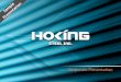 Hoking Steel - sample presentation