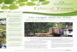 Ethical times-autumn-newsletter-2012-v1