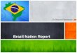 Brazil Nation Report