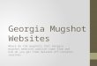 Georgia Mugshots - Where do they Come From & How Do You Get 'Em Deleted
