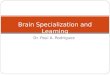 Brain Specialization