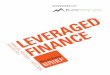 Leveraged Finance Annual Review / Outlook 2014