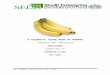 technical guide book of  banana,sedf