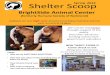 BrightSide Animal Center Shelter Scoop Spring 2014