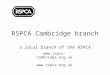 RSPCA cambridge branch