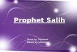 Prophet Salih