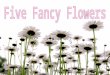 Five Fancy Flowers