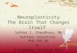 Neuroplasticity: The Brain That Changes Itself