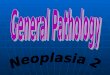 Pathology lab   neoplasia 2
