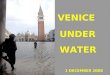 Italia Venecia Bajo El Agua 01 Dic2008