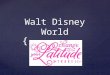 Disney World Options
