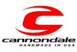 Case study on cannondale
