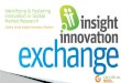 The Insight Innovation Platform Overview