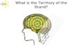 Brand building-brand-management-process-1219832322992103-8-110919164602-phpapp01