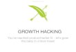 Intro to Hunter & Bard Growthhacking Panel Short Presentation April 2014