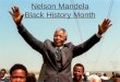 Black history month civics nelson mandela