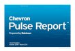 Chevron Pulse Report: 1Q 2010 Edition - The State of the Online Energy Conversation
