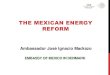 Mexicos energy reform def-2014
