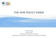 The SME Policy Index