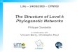 The Structure of Level-k Phylogenetic Networks