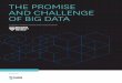 The promise and challenge of Big Data
