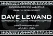 Portfolio | DAVE LEWAND Marketing Services