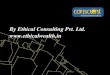 Conscient Corporate Profile by Ethical Consulting Pvt. Ltd