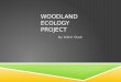 Woodland project