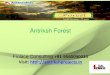 Antriksh Forest  Noida | Finlace Consulting